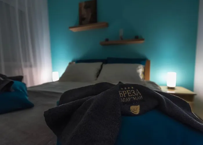 Breza - апартман бреза 아파트 Banja Koviljača